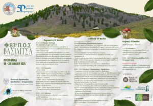 Πρόγραμμα_ΠΟΣ_ΒΑΣΙΛΙΤΣΑ_2025